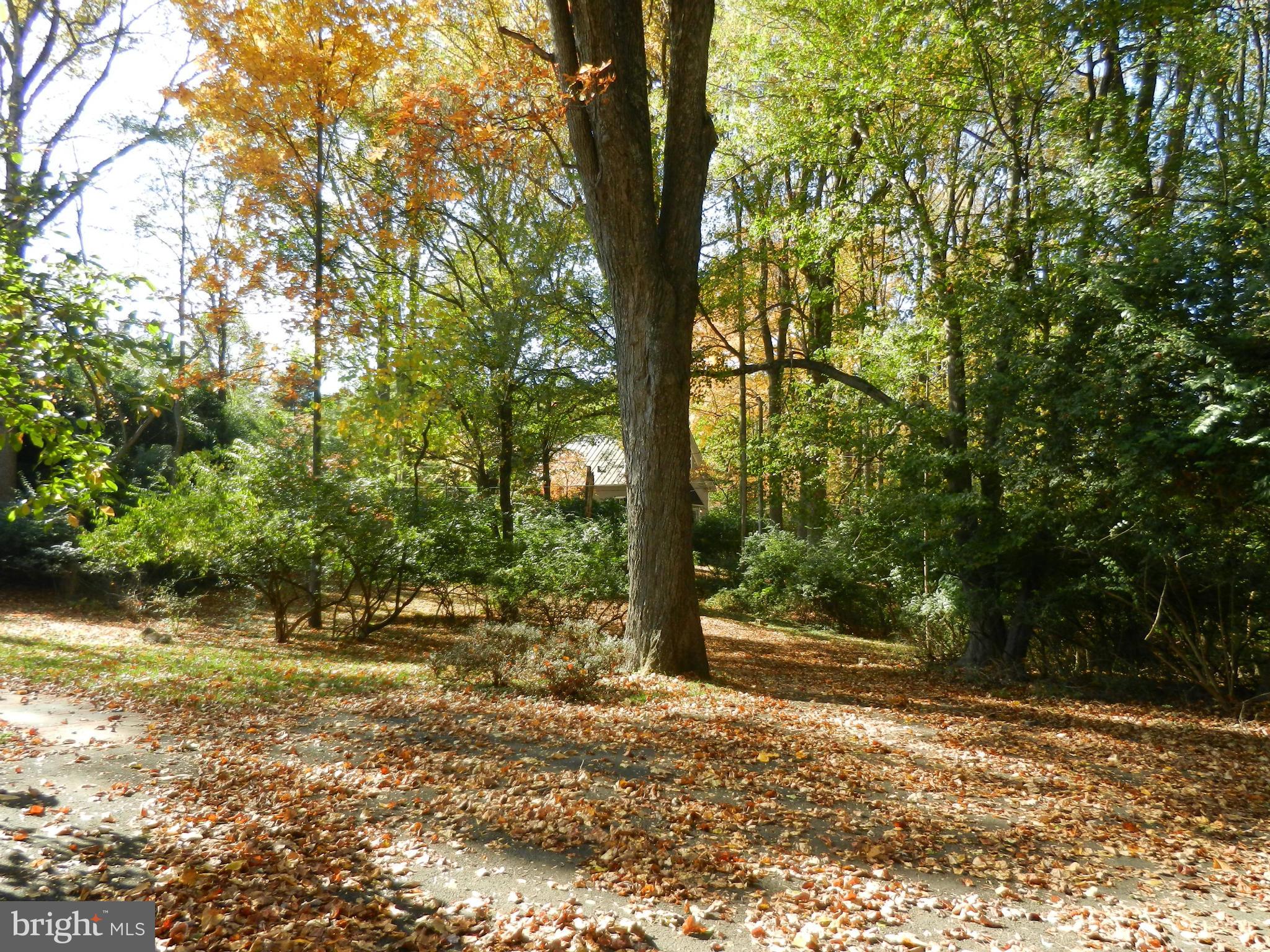9934 Lawyers Road Vienna, VA 22181 - Photo 10 of 28 View