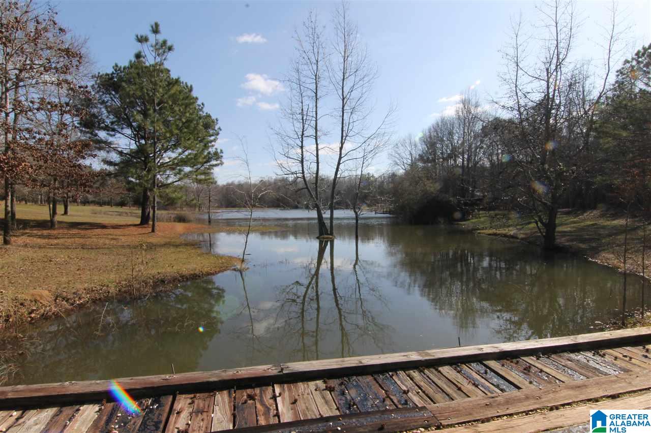 9276 County Road 2 Waverly, AL 36879 - Photo 36 of 38