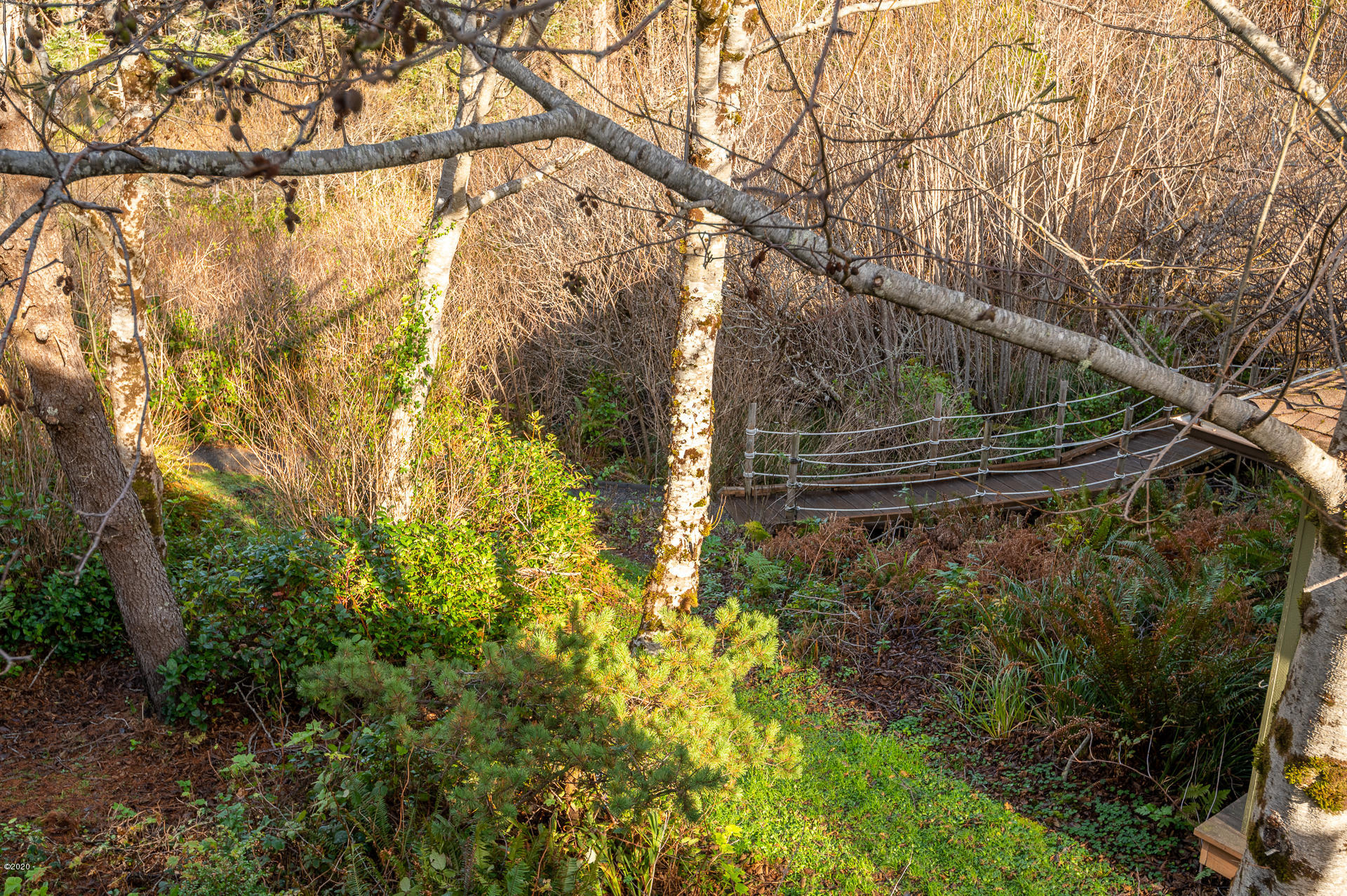 2100 Overleaf Loop Yachats, OR 97498 - Photo 35 of 51 bridge path from balcony