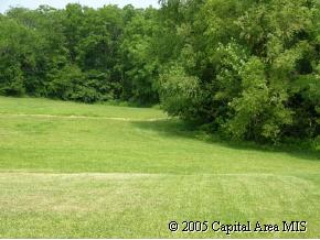 1533 Maureen Court Springfield, IL 62702 - Photo 9 of 9