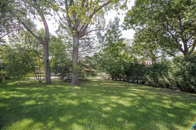 820 South Cumberland Avenue Park Ridge, IL 60068 - Photo 22 of 24