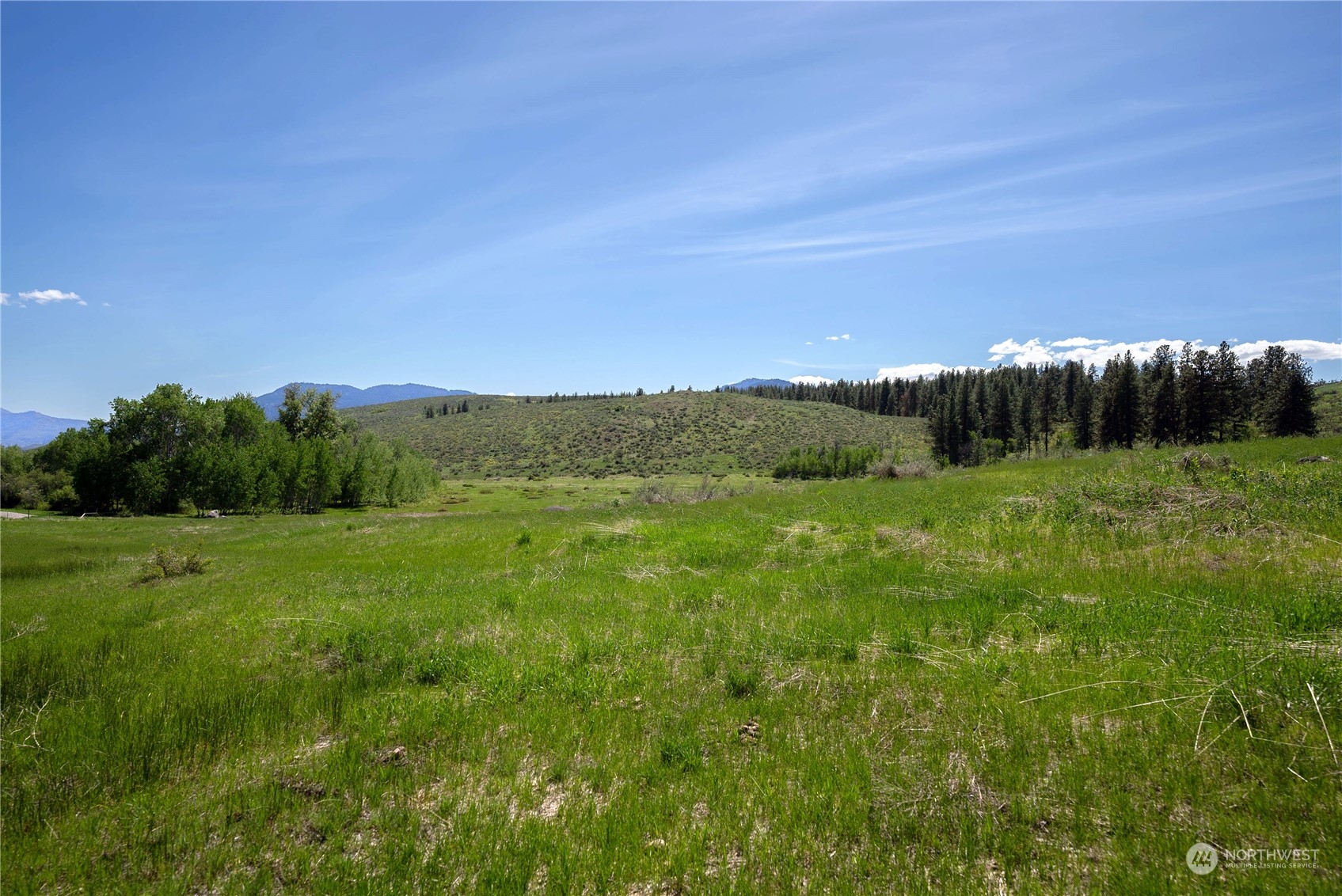 75 Signal Hill Road Twisp, WA 98856 - Photo 11 of 22 Gallery Image 11
