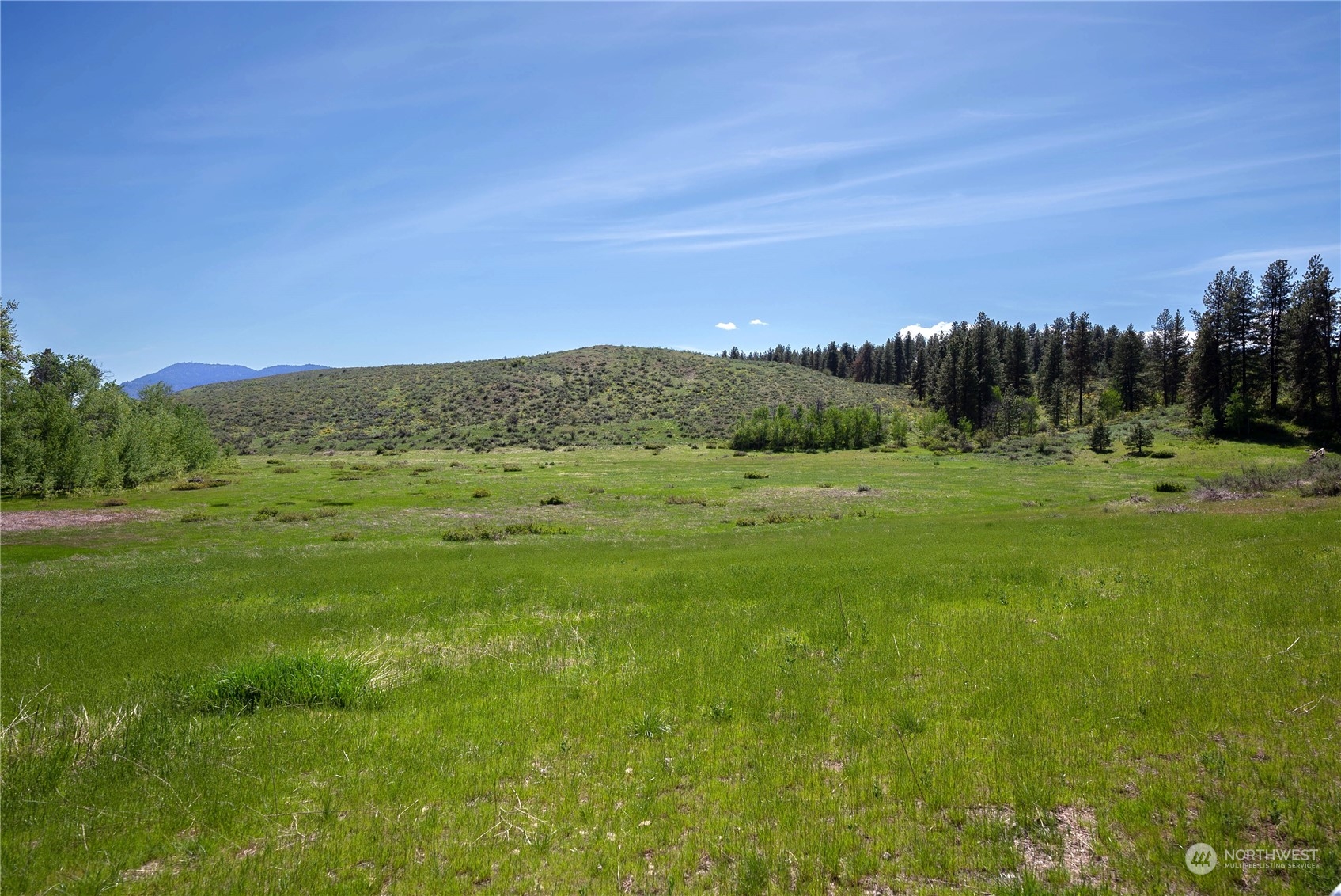 75 Signal Hill Road Twisp, WA 98856 - Photo 12 of 22 Gallery Image 12