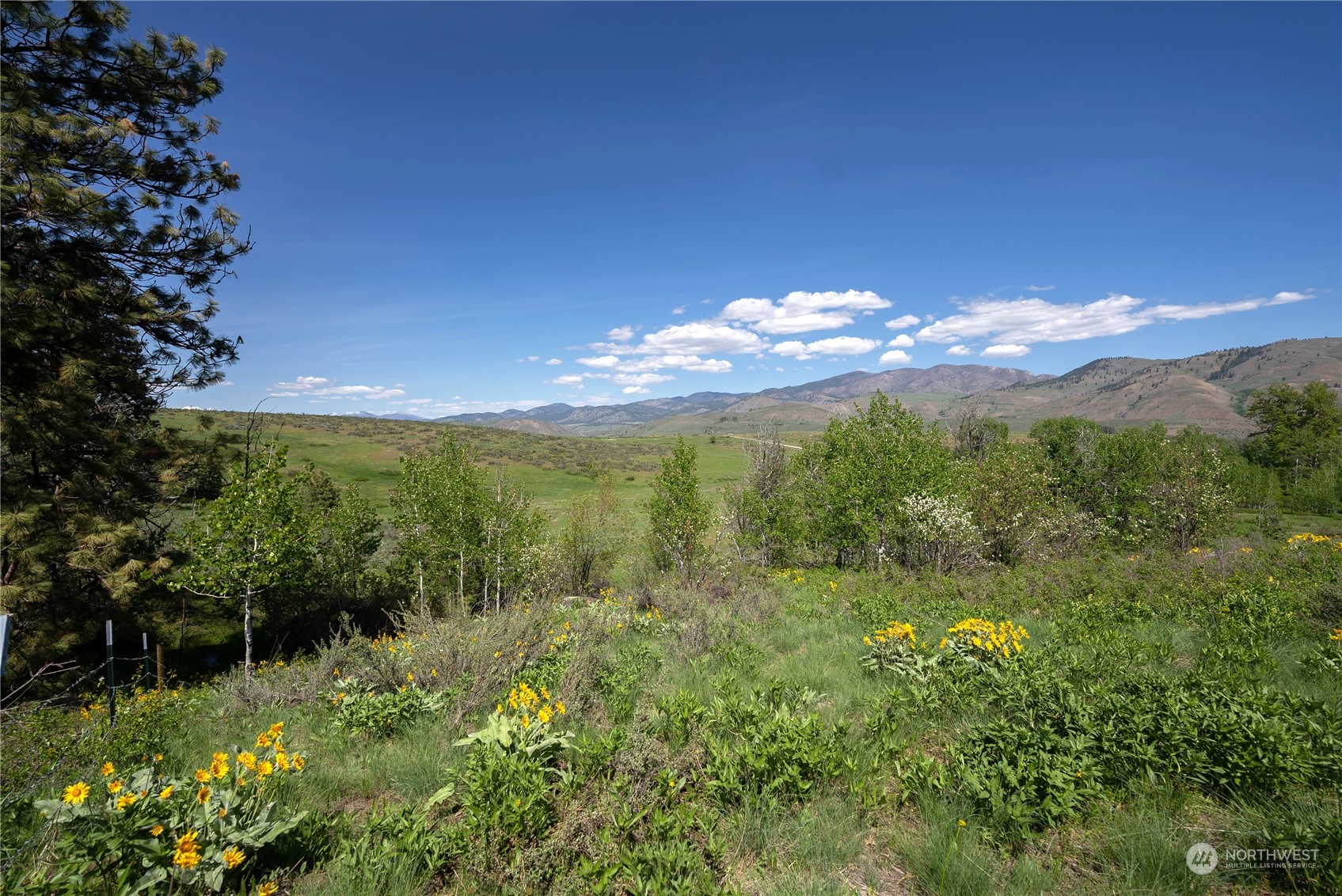 75 Signal Hill Road Twisp, WA 98856 - Photo 13 of 22 Gallery Image 13