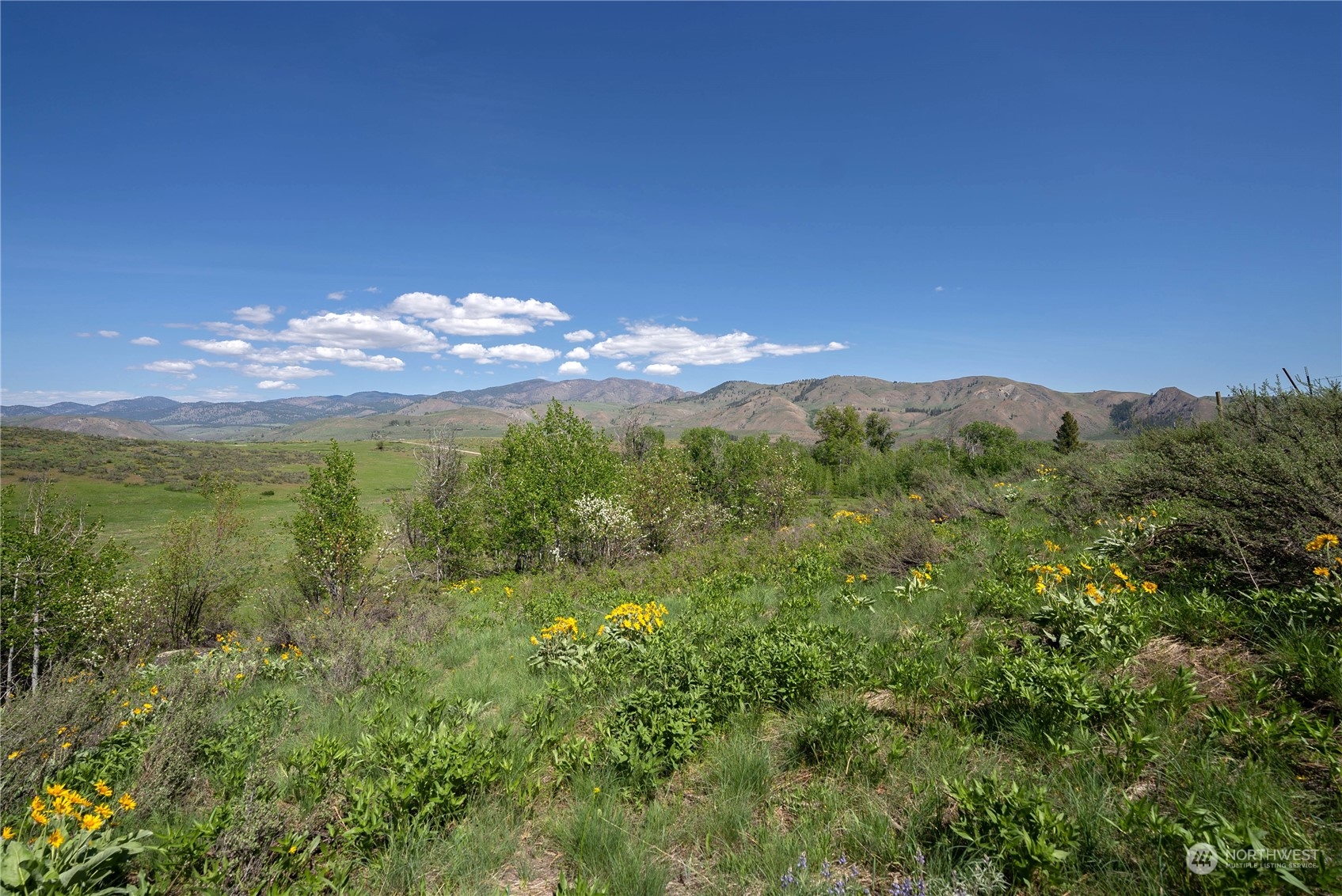 75 Signal Hill Road Twisp, WA 98856 - Photo 14 of 22 Gallery Image 14