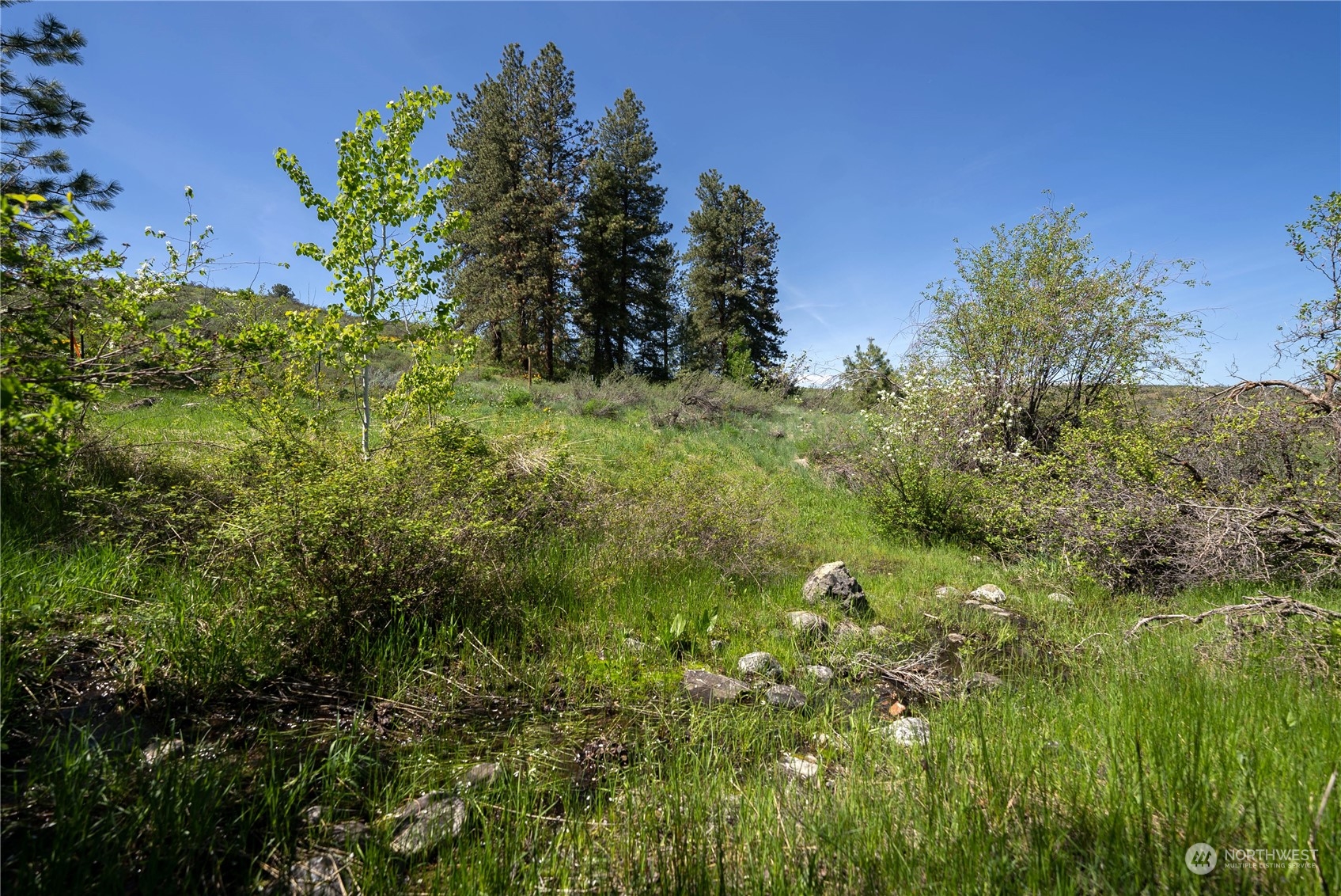 75 Signal Hill Road Twisp, WA 98856 - Photo 16 of 22 Gallery Image 16