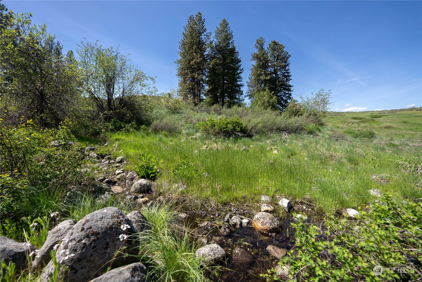 75 Signal Hill Road Twisp, WA 98856 - Photo 17 of 22 Gallery Image 17