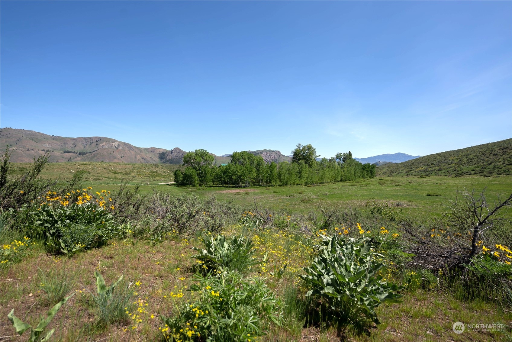 75 Signal Hill Road Twisp, WA 98856 - Photo 19 of 22 Gallery Image 19