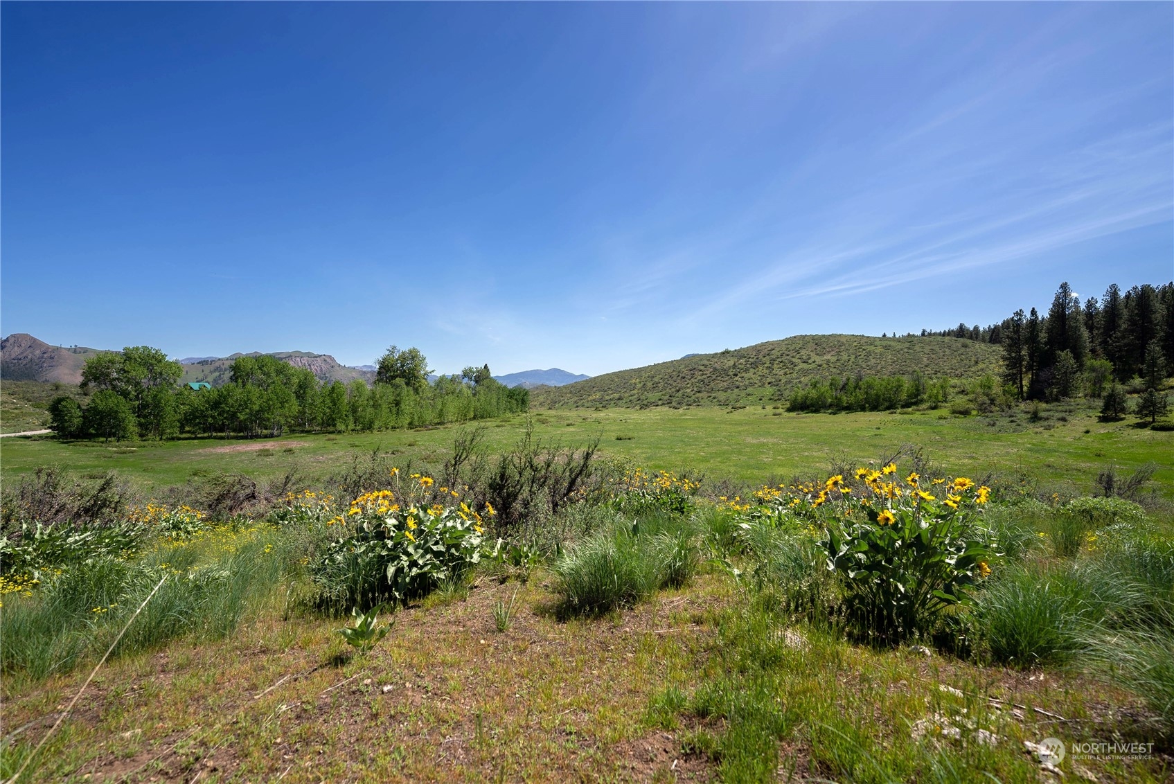 75 Signal Hill Road Twisp, WA 98856 - Photo 20 of 22 Gallery Image 20