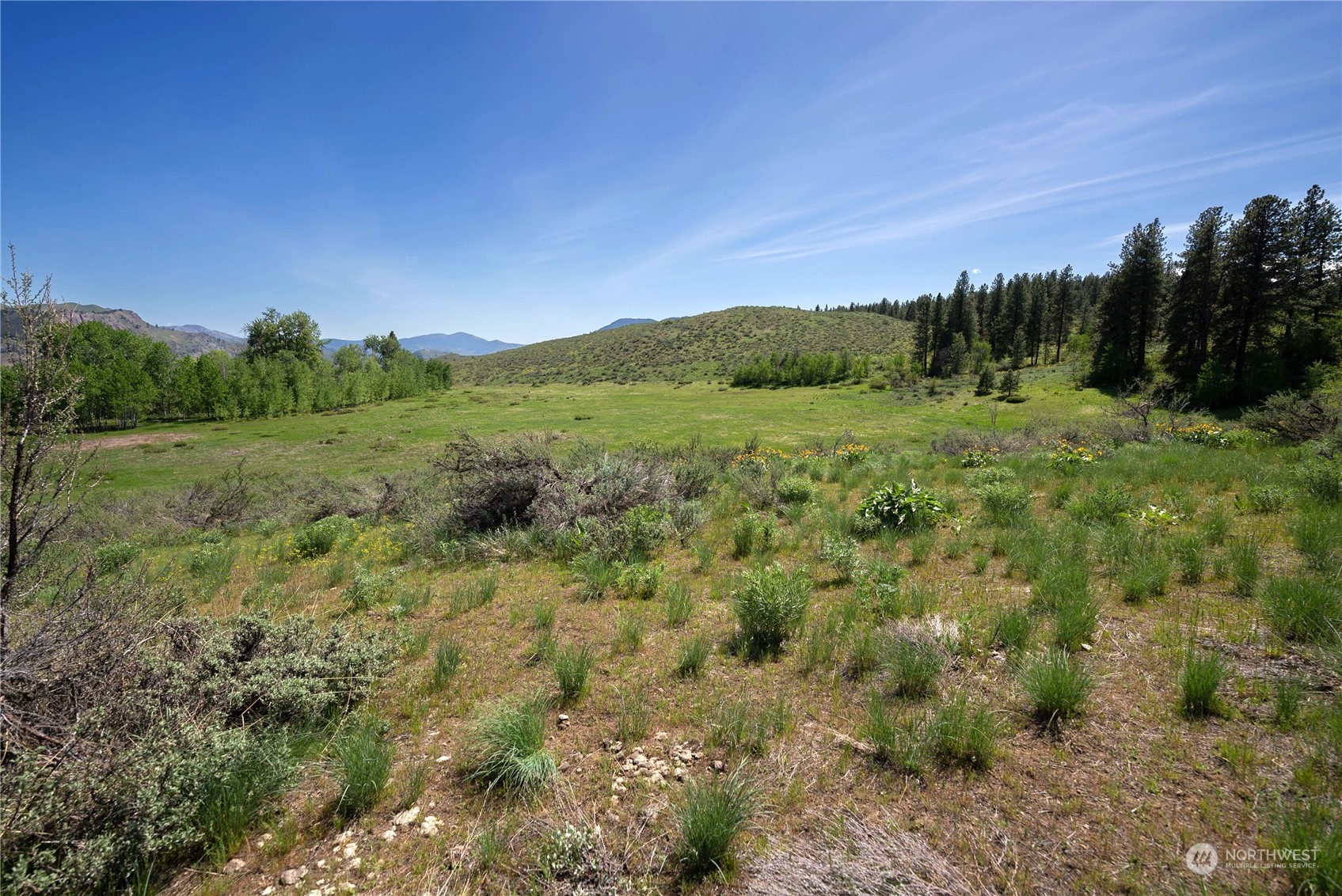 75 Signal Hill Road Twisp, WA 98856 - Photo 22 of 22 Gallery Image 22