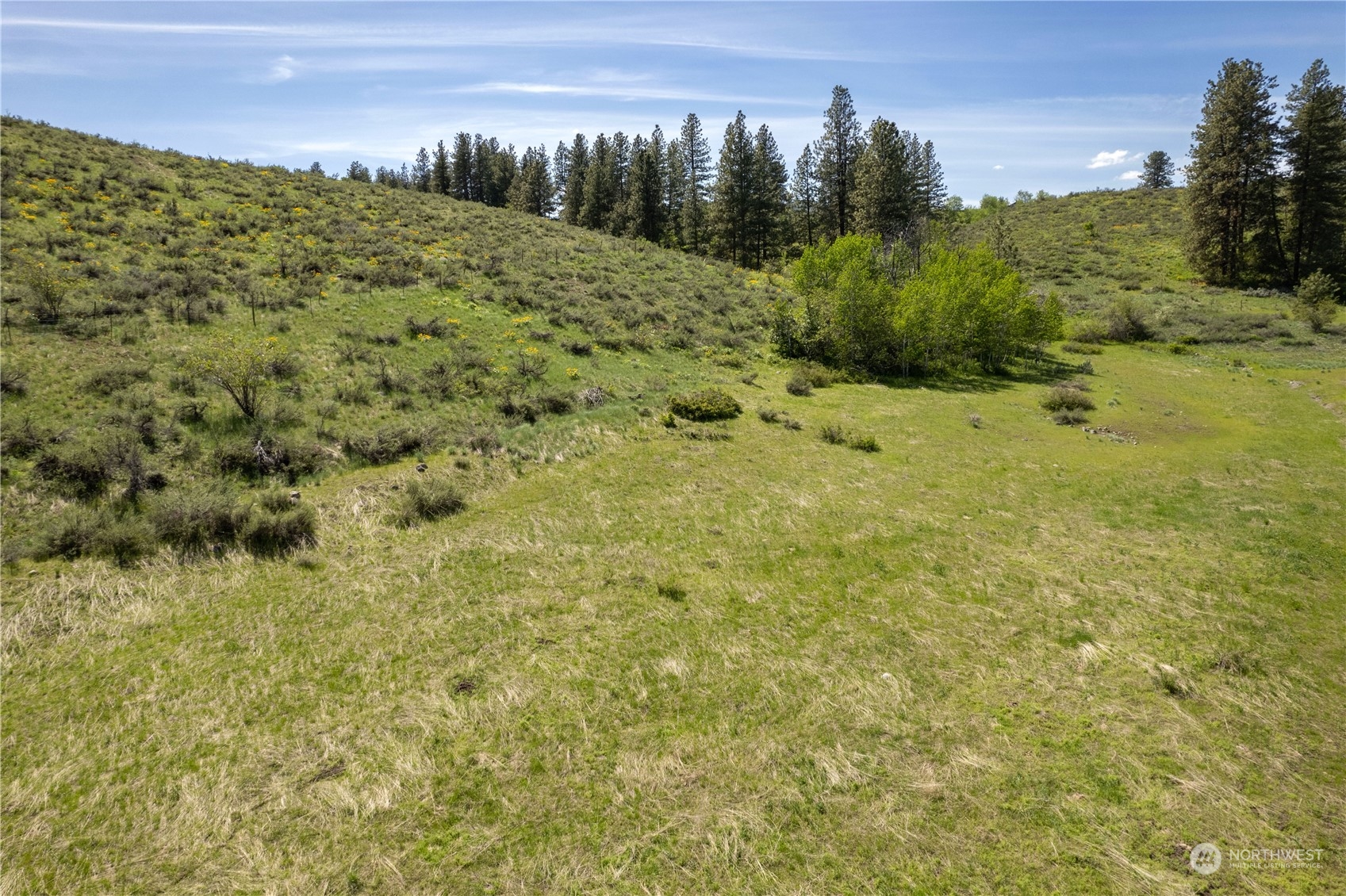 75 Signal Hill Road Twisp, WA 98856 - Photo 8 of 22 Gallery Image 8