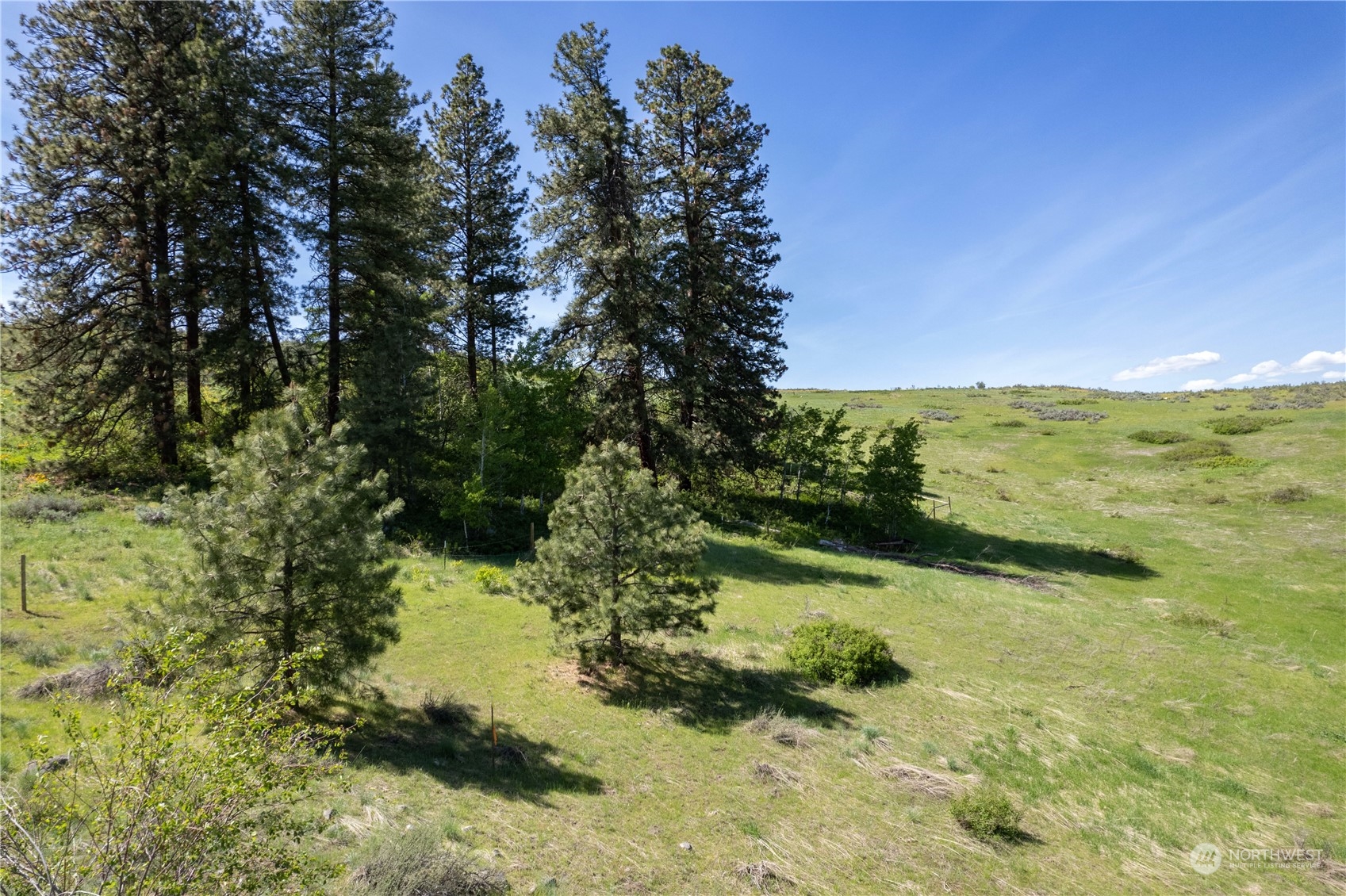 75 Signal Hill Road Twisp, WA 98856 - Photo 9 of 22 Gallery Image 9