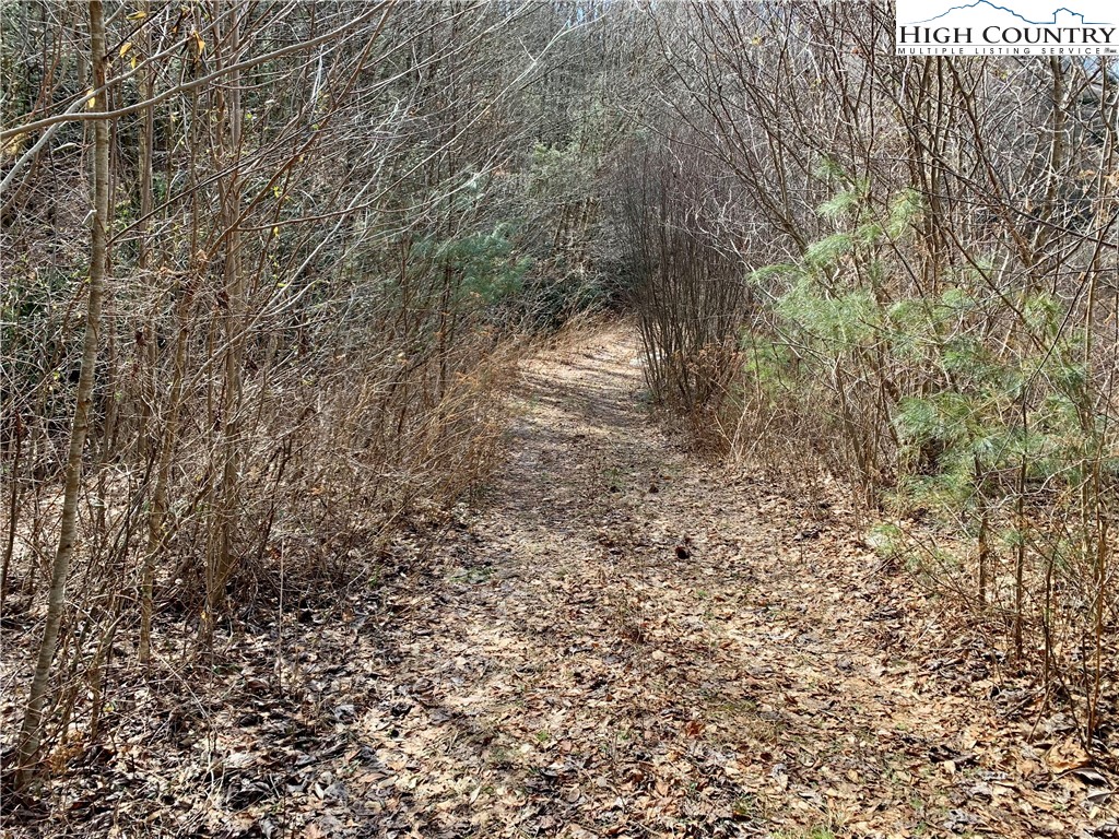 0 Castle Ford Road Boone, NC 28607 - Photo 2 of 7 Gallery Image 2