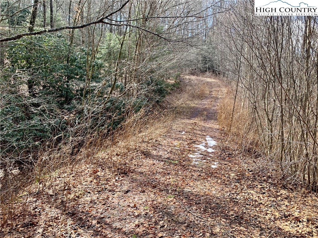 0 Castle Ford Road Boone, NC 28607 - Photo 4 of 7 Gallery Image 4