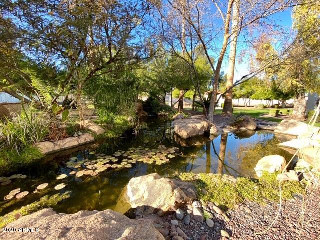 2020 East Ranch Road Tempe, AZ 85284 - Photo 43 of 58 IMG_0135