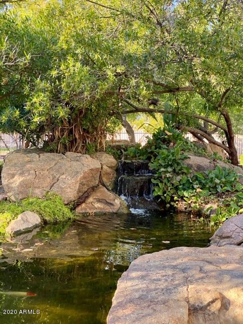 2020 East Ranch Road Tempe, AZ 85284 - Photo 44 of 58 IMG_0139
