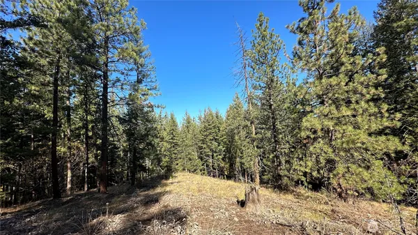 $174,500 | 142 C Red Pine, Winthrop, WA 98862