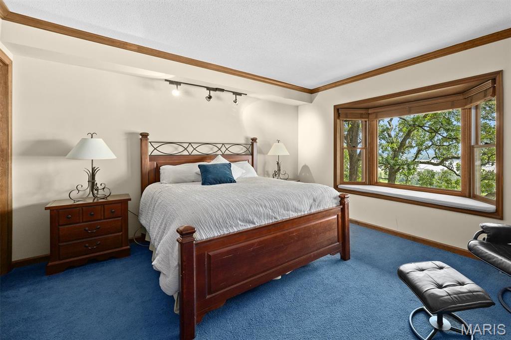 3505 Riverview Court Godfrey, IL 62035 - Photo 46 of 68