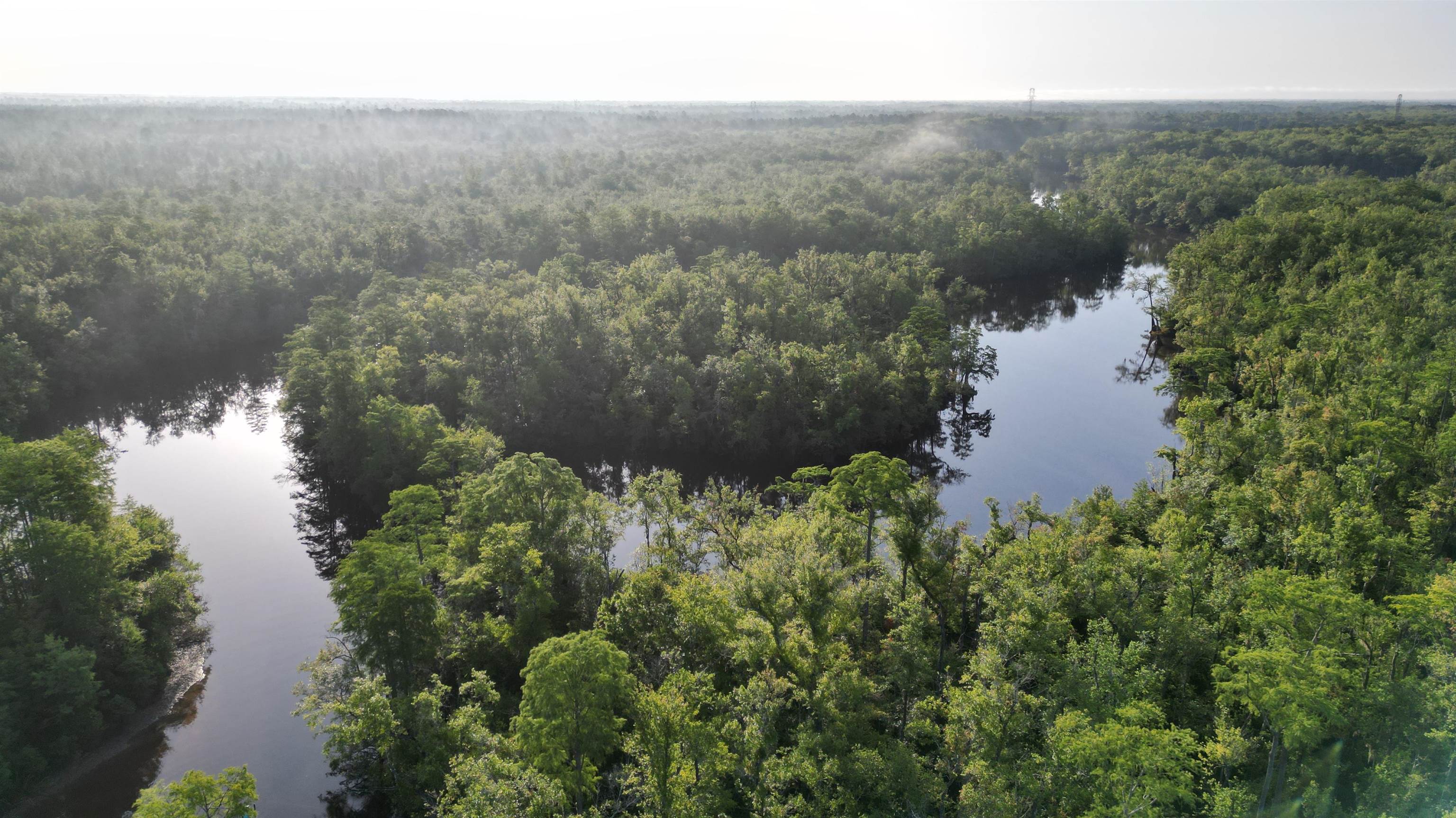 1050 Cedar Creek Landing Road Mount Vernon, AL 36560 - Photo 5 of 59 Aerial View