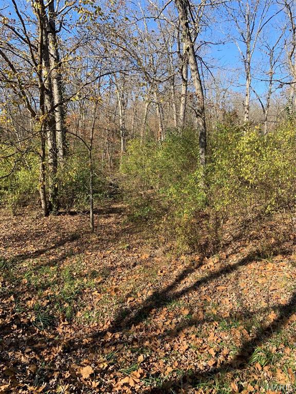 255 Foxboro Road Gerald, MO 63037 - Photo 5 of 12