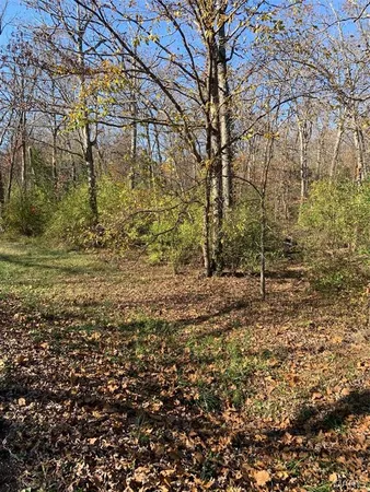 $21,900 | 255 Foxboro Road, Gerald, MO 63037