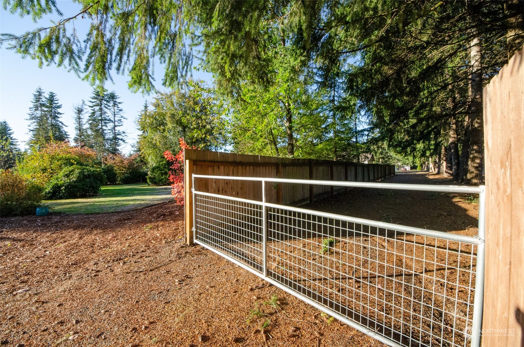8203 177th Lane Southwest Rochester, WA 98579 - Photo 25 of 30 a view of a backyard