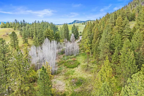 $325,000 | Nka Goddard Road, Rice, WA 99167