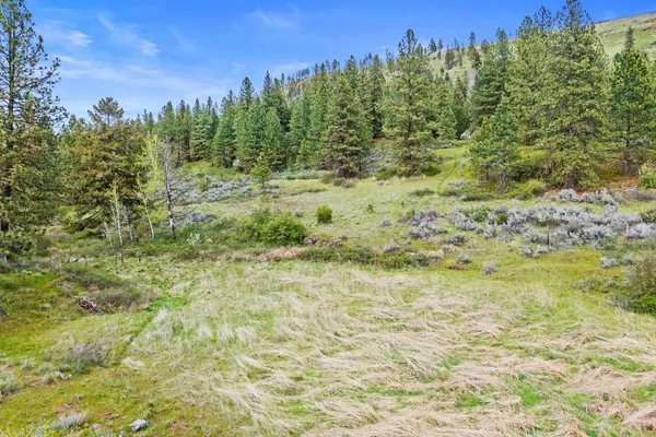 $325,000 | Nka Goddard Road, Rice, WA 99167