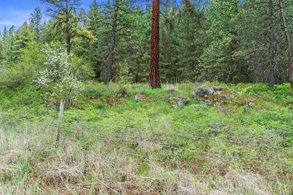 $325,000 | Nka Goddard Road, Rice, WA 99167