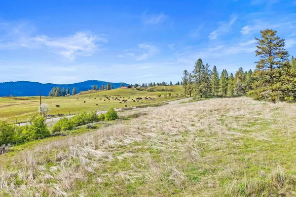 $325,000 | Nka Goddard Road, Rice, WA 99167