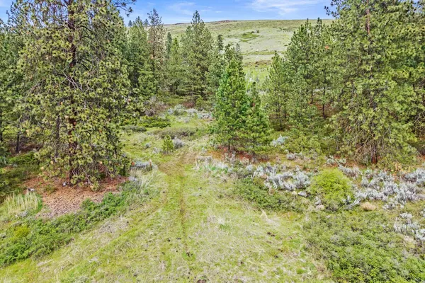 $325,000 | Nka Goddard Road, Rice, WA 99167