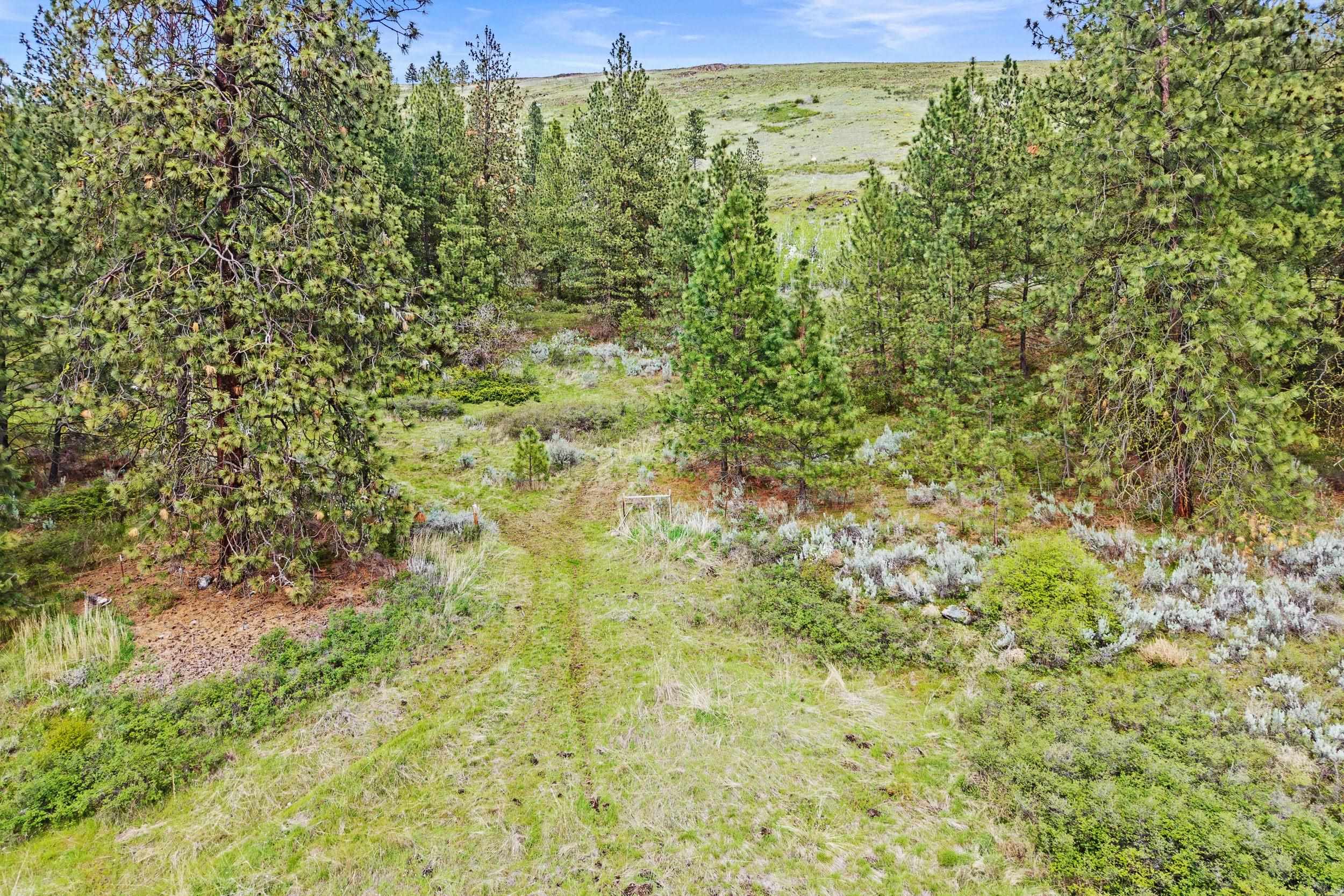 Nka Goddard Road Rice, WA 99167 - Photo 18 of 50