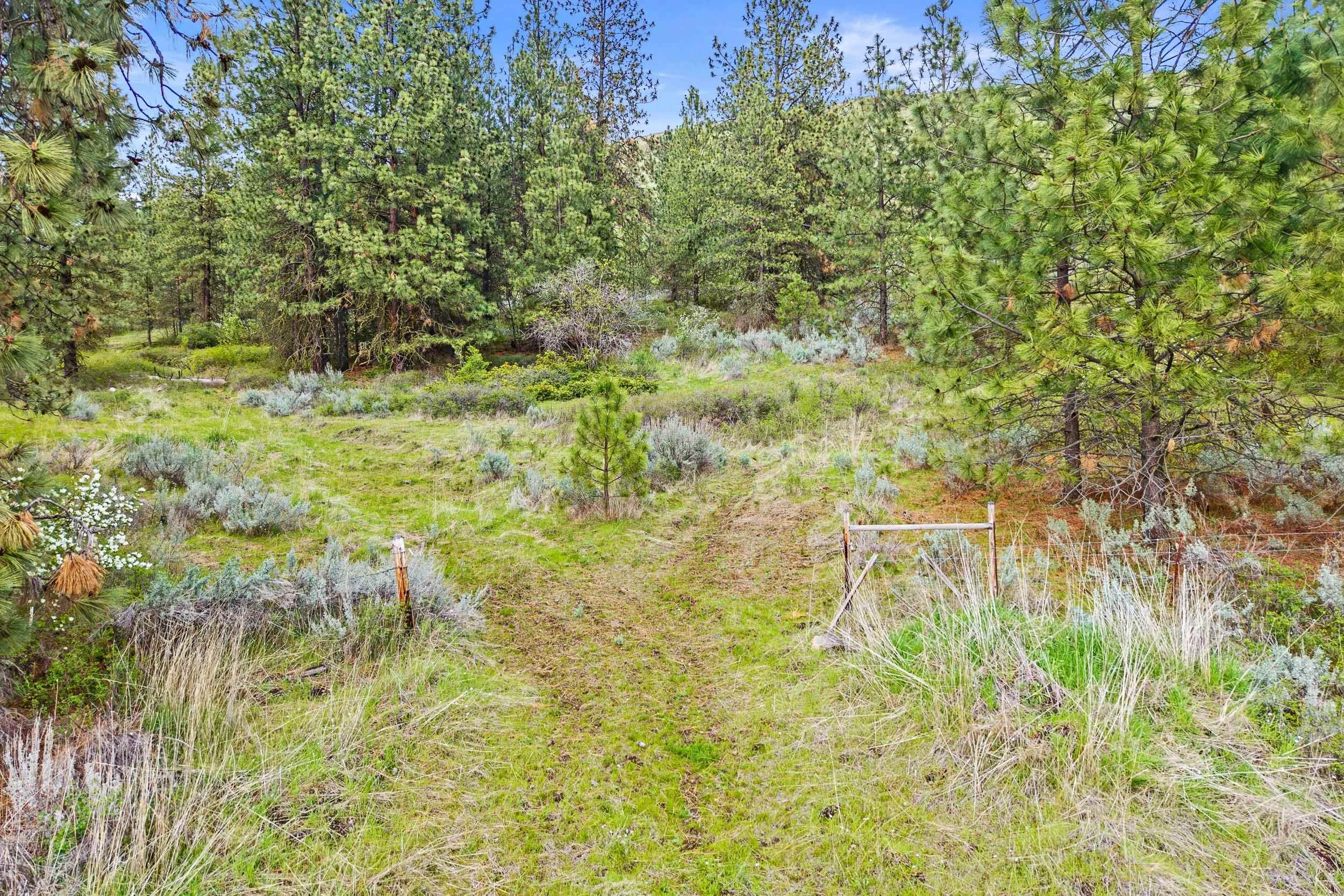 Nka Goddard Road Rice, WA 99167 - Photo 19 of 50