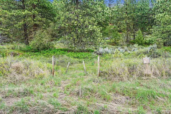 $325,000 | Nka Goddard Road, Rice, WA 99167