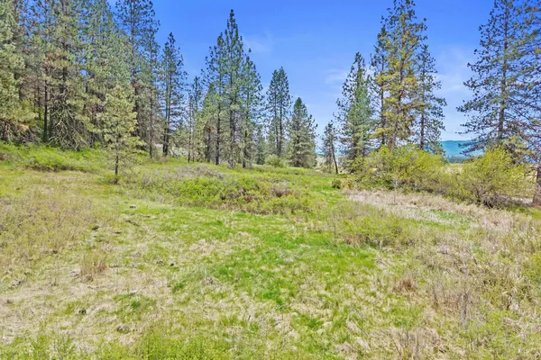$325,000 | Nka Goddard Road, Rice, WA 99167