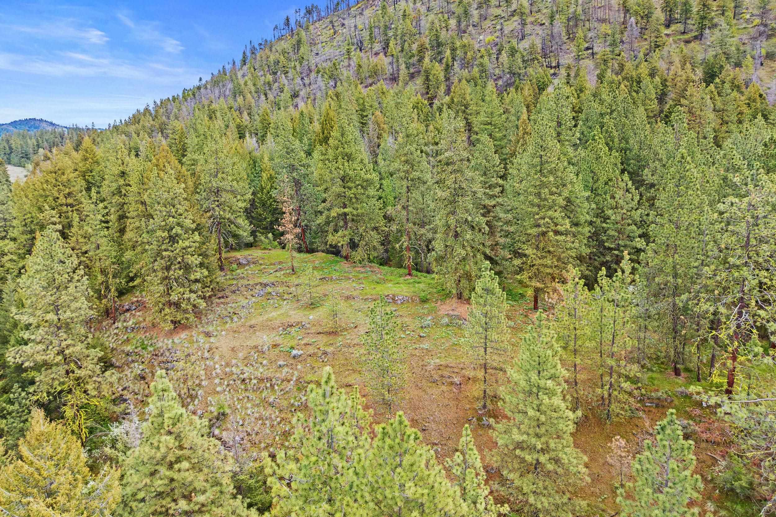 Nka Goddard Road Rice, WA 99167 - Photo 27 of 50