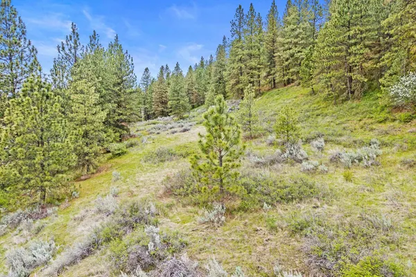 $325,000 | Nka Goddard Road, Rice, WA 99167
