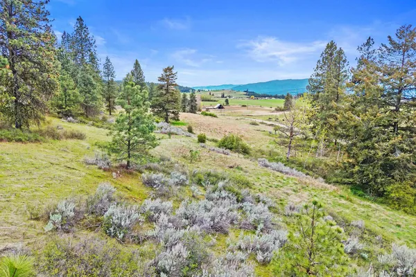 $325,000 | Nka Goddard Road, Rice, WA 99167