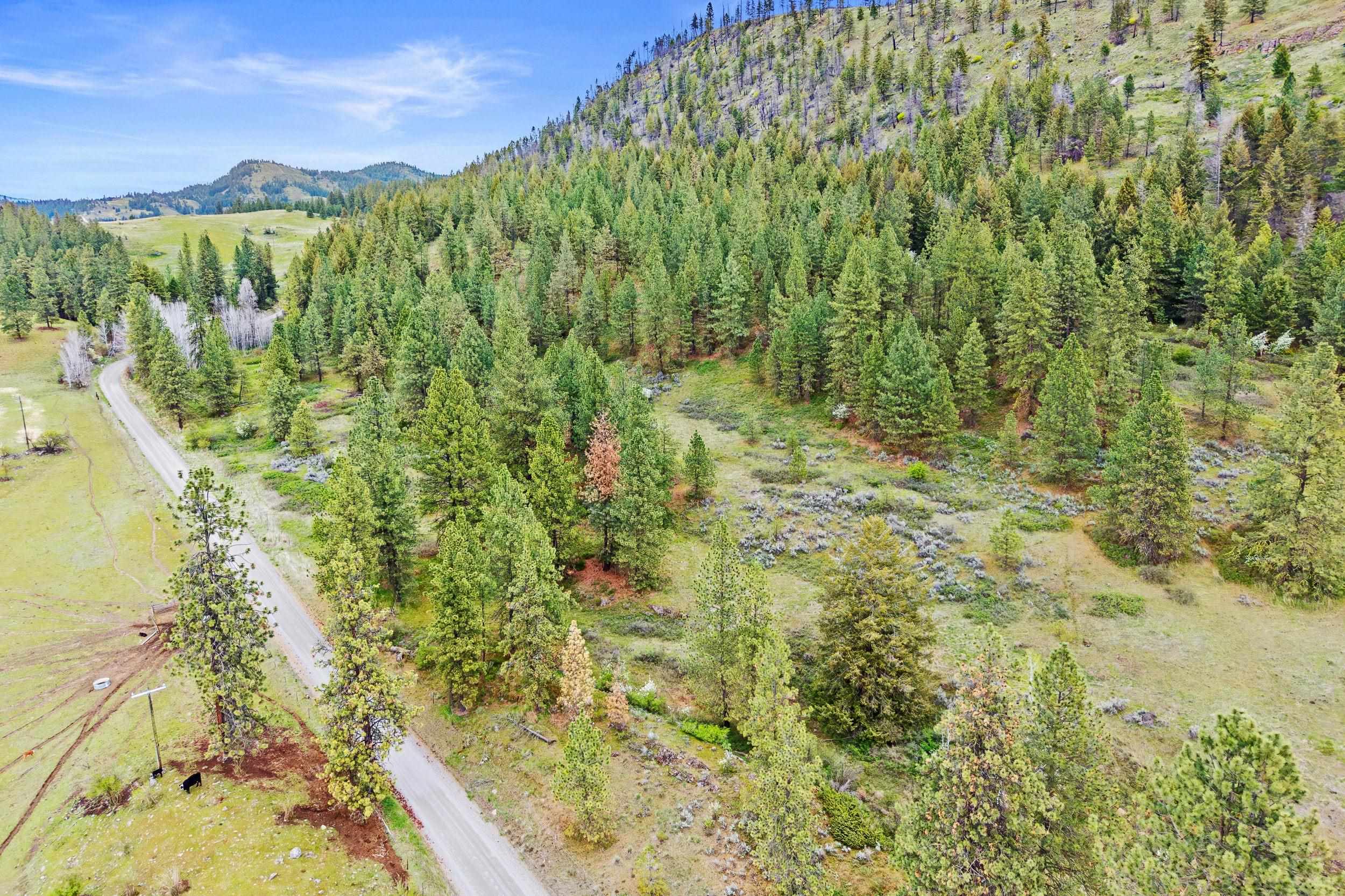 Nka Goddard Road Rice, WA 99167 - Photo 33 of 50