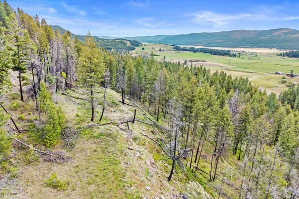 $325,000 | Nka Goddard Road, Rice, WA 99167