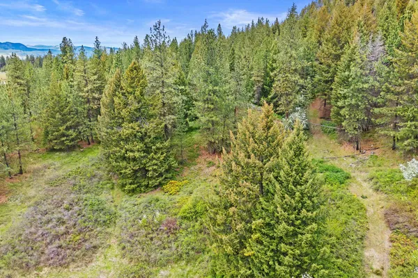 $325,000 | Nka Goddard Road, Rice, WA 99167