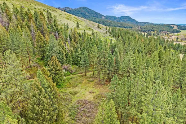 $325,000 | Nka Goddard Road, Rice, WA 99167