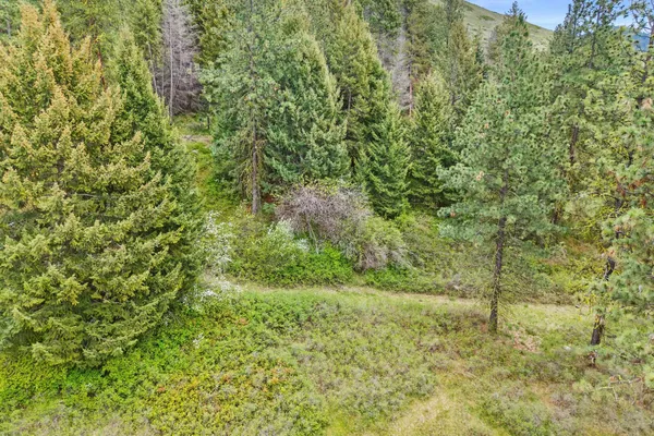 $325,000 | Nka Goddard Road, Rice, WA 99167