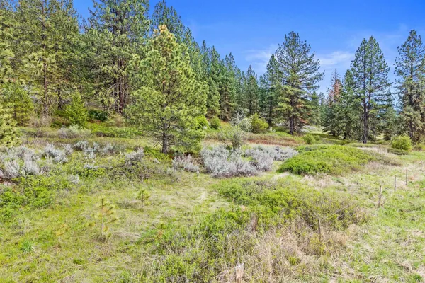 $325,000 | Nka Goddard Road, Rice, WA 99167