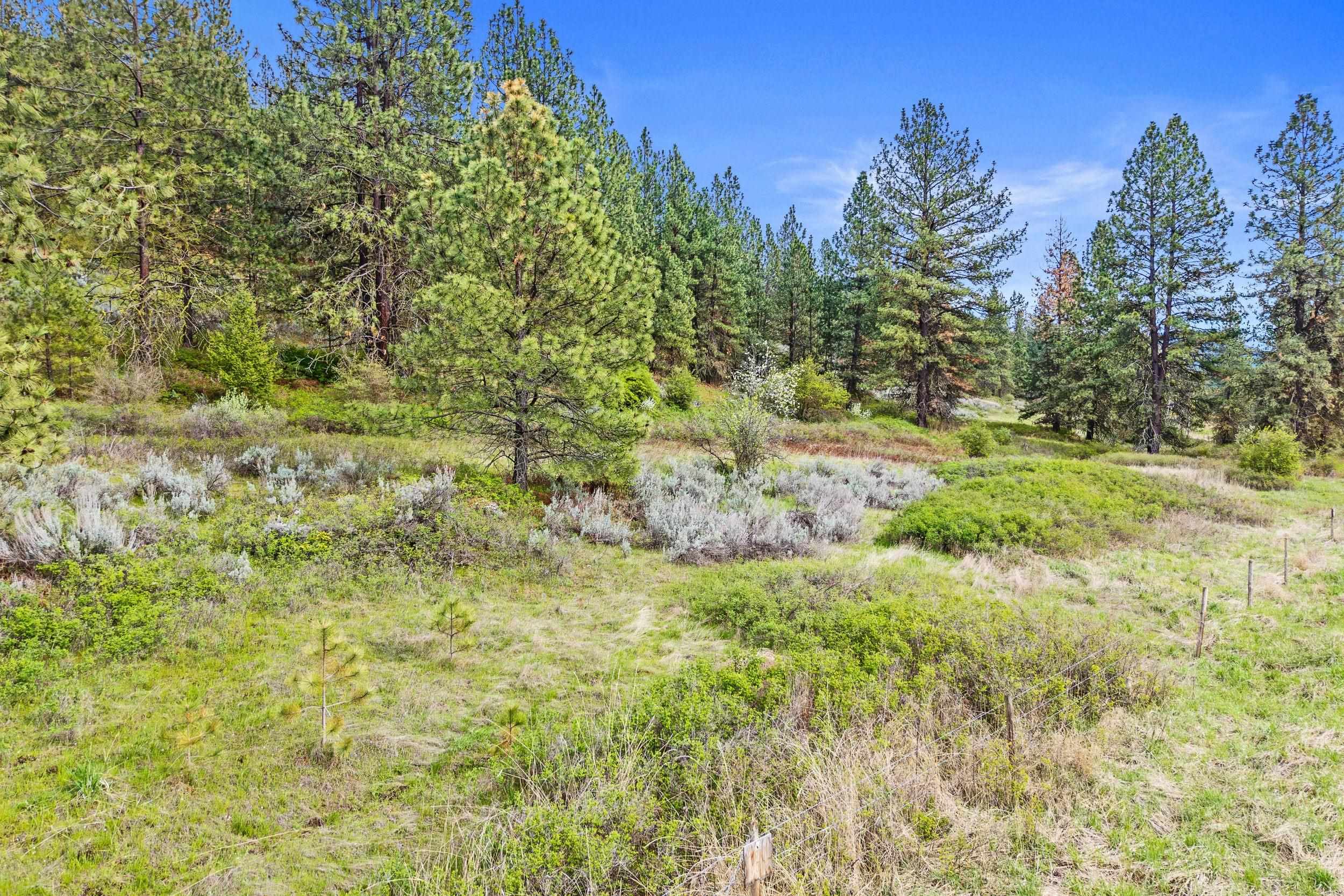 Nka Goddard Road Rice, WA 99167 - Photo 40 of 50