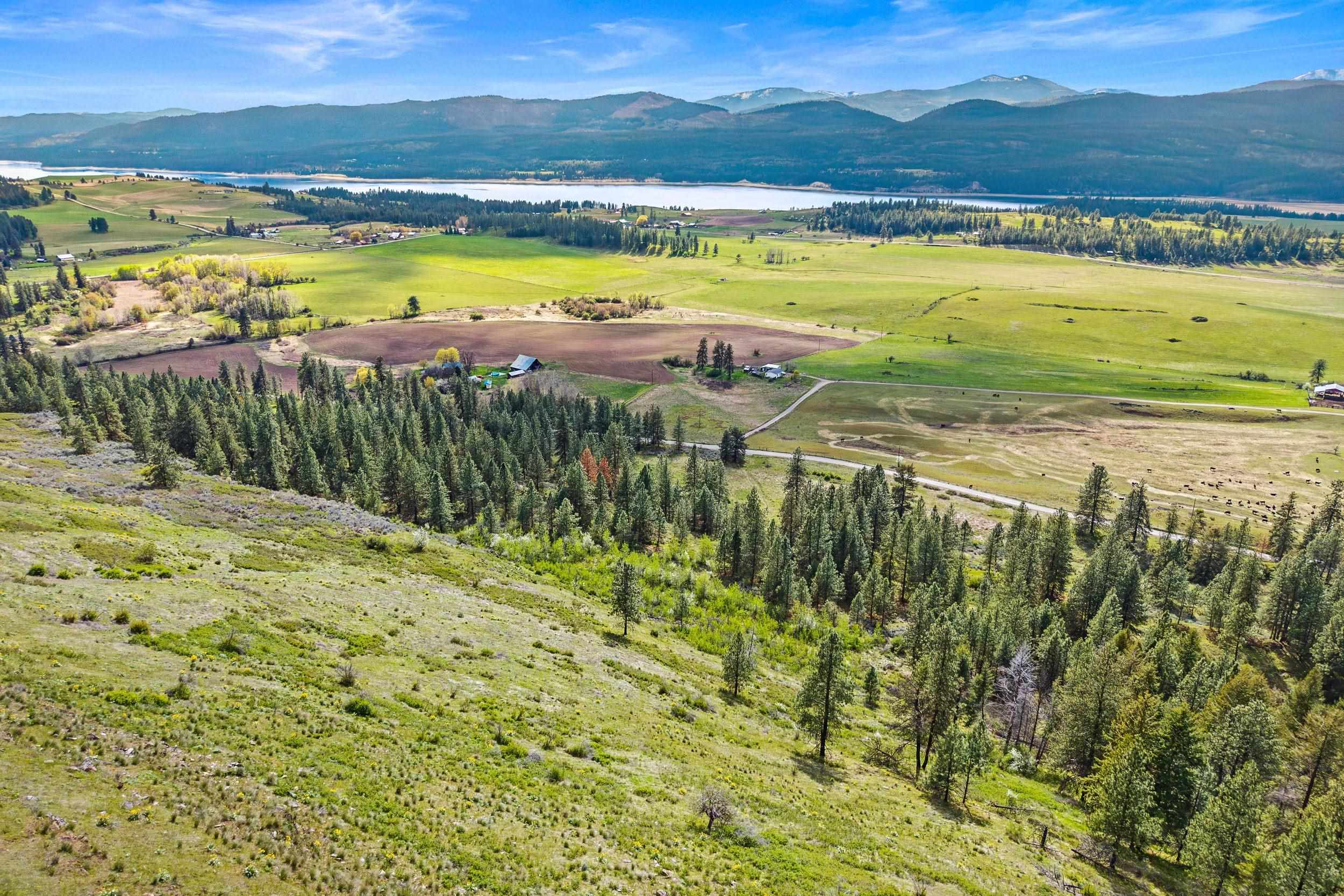 Nka Goddard Road Rice, WA 99167 - Photo 4 of 50