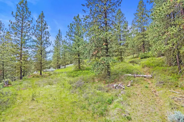 $325,000 | Nka Goddard Road, Rice, WA 99167
