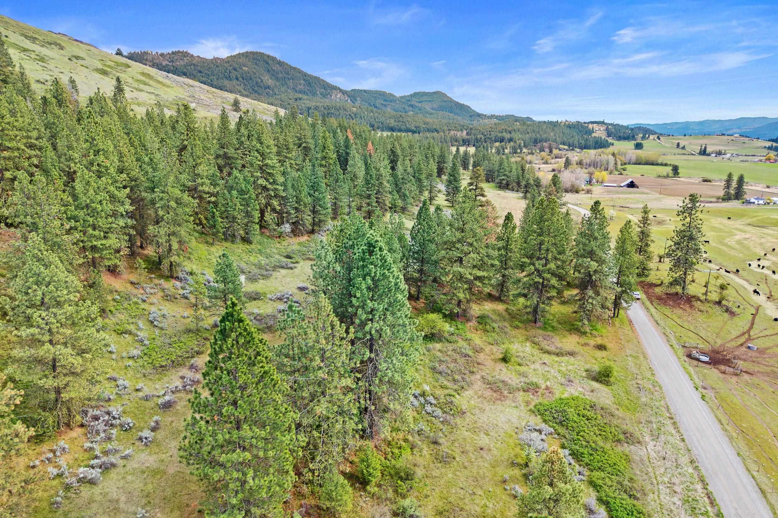 Nka Goddard Road Rice, WA 99167 - Photo 43 of 50