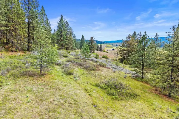 $325,000 | Nka Goddard Road, Rice, WA 99167