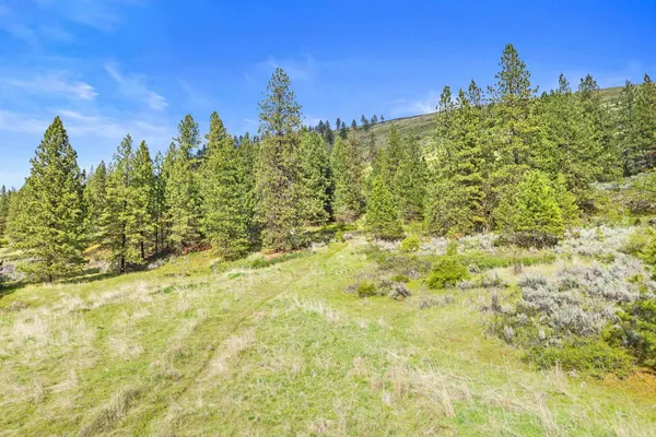 $325,000 | Nka Goddard Road, Rice, WA 99167
